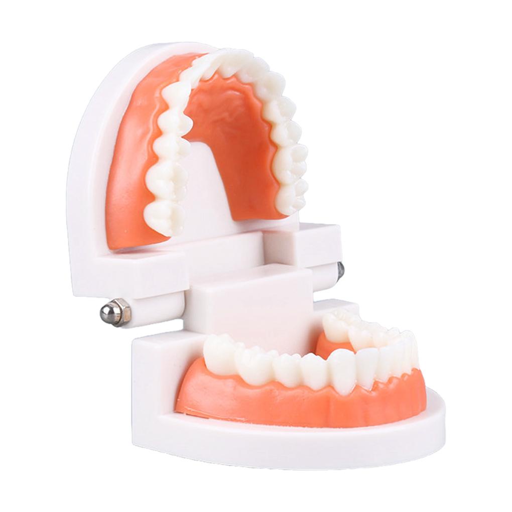 Đồ Chơi Bàn Chải Đánh Răng Hỗ Trợ Dạy Học Cho Bé
