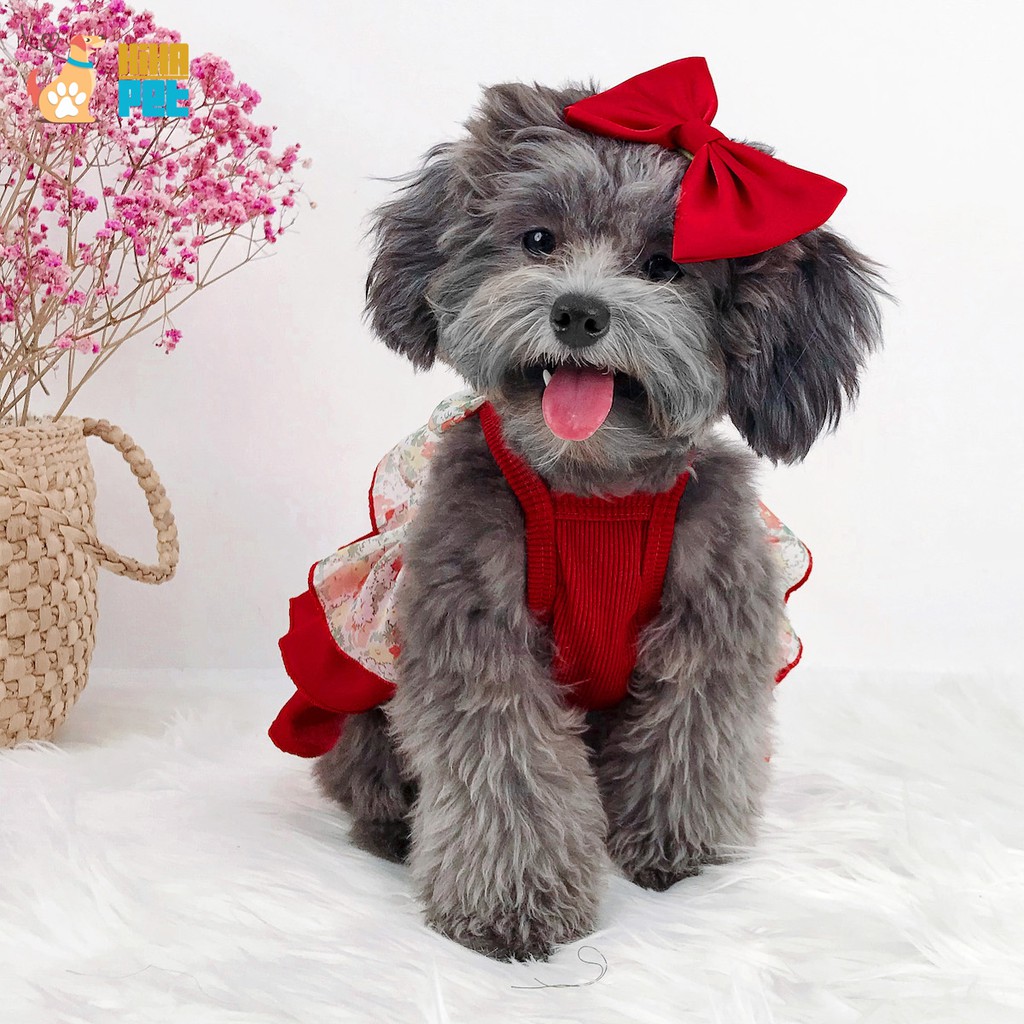 Váy Đầm Tầng Thời Trang Công Chúa Chó Mèo Thiết Kế Cao Cấp Mùa Hè Hihapet.