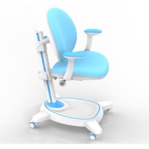 [CHÍNH HÃNG] GHẾ CHỐNG GÙ CAO CẤP C21A mẫu mới nhất 2020_GHẾ CHỐNG GÙ K2 | BigBuy360 - bigbuy360.vn