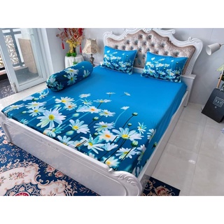 Bộ drap thun Ý 5D 1m6*2m, nhiều màu