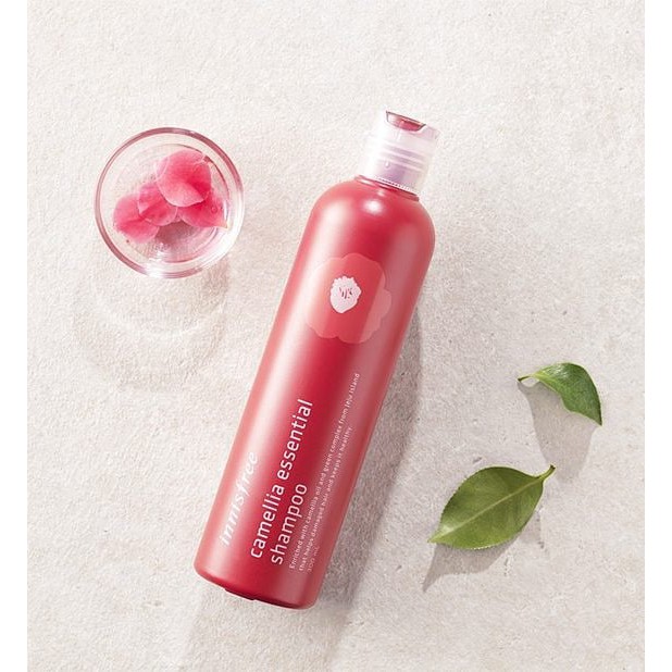 Dầu gội đầu Innisfree Camellia Essential Shampoo 300mL