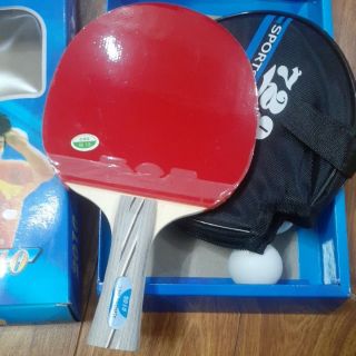 Vợt bóng bàn 729 -2010