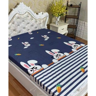 Ga chống thấm cotton nhiều mẫu, kích thước 1m6x2m,1m8x2m
