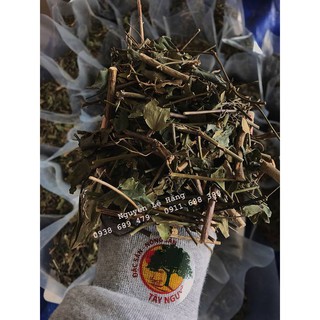 CHÈ VẰNG SẺ