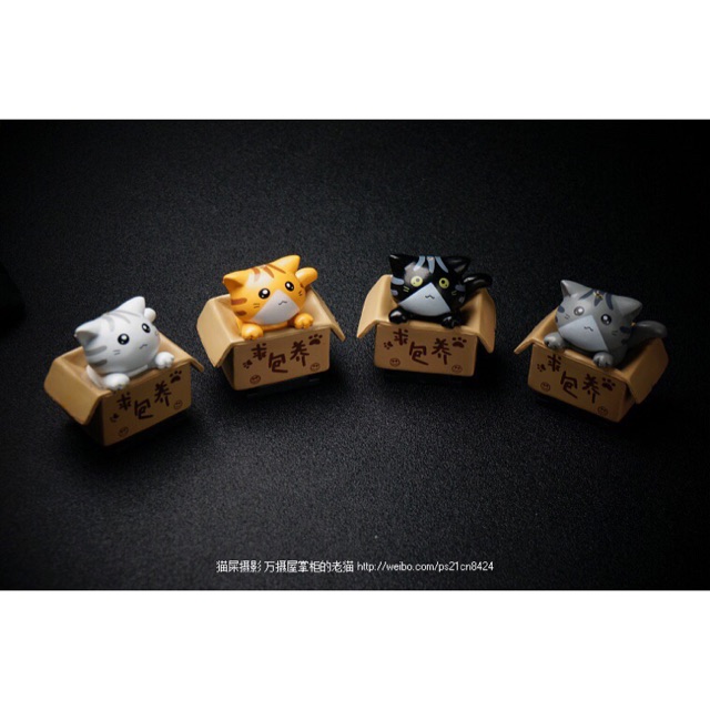 Hotshoe cài flash máy ảnh Mèo