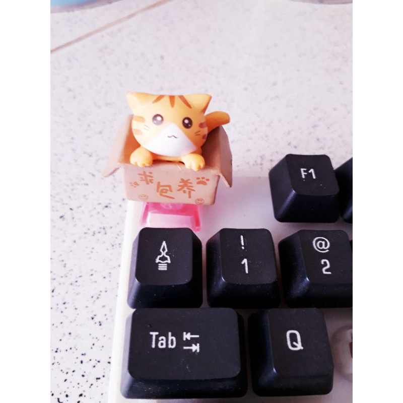 Keycap bé mèo trong hộp (baby cat in box), trang trí bàn phím. | BigBuy360 - bigbuy360.vn