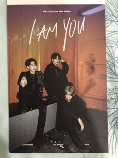 Postcard Stray Kids unit