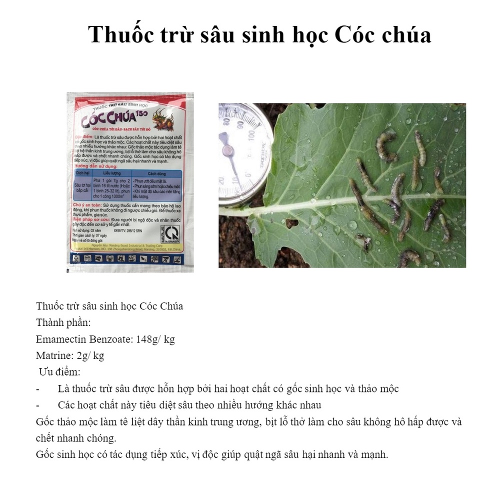Chế phẩm sinh học Cóc chúa chuyên trừ côn trùng ăn lá, trĩ trên cây cảnh, cây rau,..