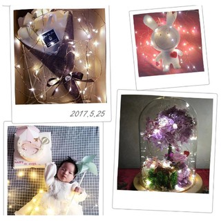 Dây đèn led Fairy Light