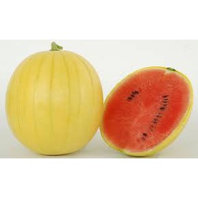[Image: f8683e4c4c1d8a5cbeef75f7fcfbebc7]