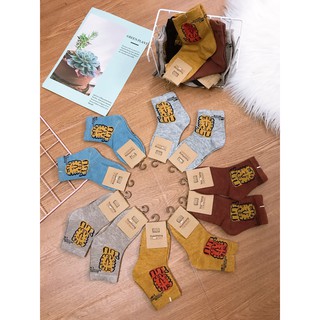 Combo 10 đôi tất sư tử bé