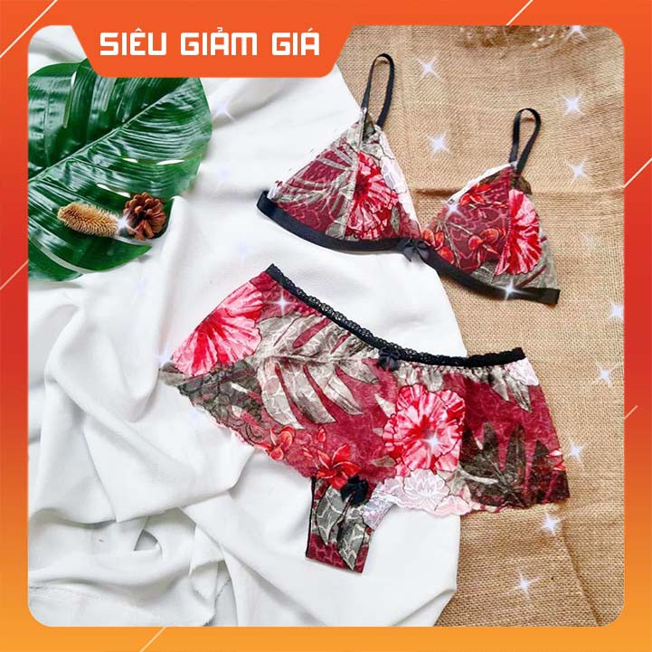 [RẺ NHẤT SHOPEE] Bộ đồ lót nữ bralette basic nhiều màu | BigBuy360 - bigbuy360.vn