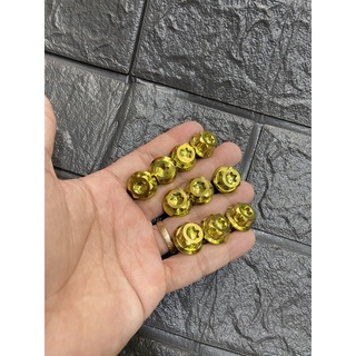 Óc Chân Kiếng Gr5 Đầu Salaya 10li Răng Thuận