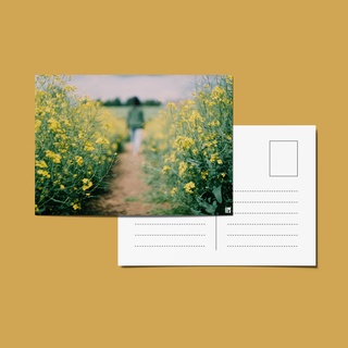 Postcard - Thiệp sinh nhật chủ đề thiên nhiên tặng người yêu nam/nữ ảnh máy phim
