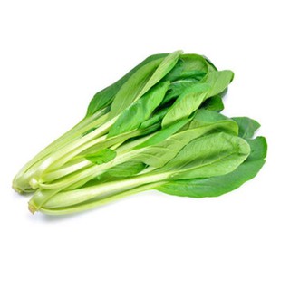 Hạt giống rau cải ngọt