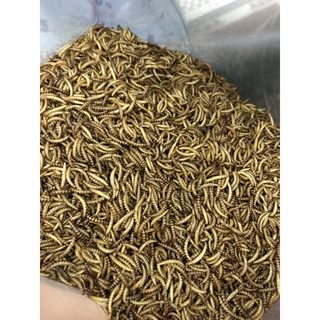 Sâu Gạo Sấy Khô thức ăn dinh dưỡng cho hamter, chim, cá, nhím, gà, sóc,..