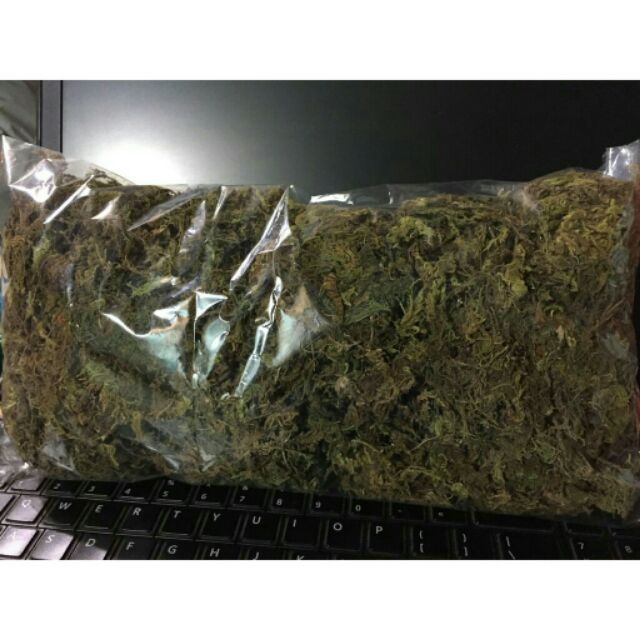 RÊU RỪNG KHÔ TRỒNG LAN, NUÔI ỐC MƯỢN HỒN - 150gram/ gói