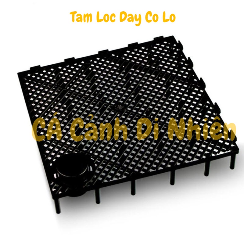 Vỉ lọc đáy vi sinh Đài Loan Tấm lọc và ống Mỏ Vịt Taiwan nâng nền lót cho hồ cá 15x15 cm