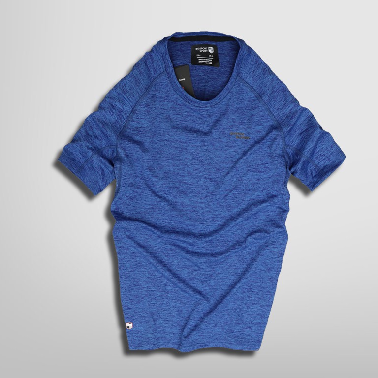 Áo Thun Nam Thể Thao Mặc Ở Nhà Cổ Tròn Vải Poly Cao Cấp Basic Áo Phông Nam Chạy Bộ Tập Gym - Big Sport, BS12 | BigBuy360 - bigbuy360.vn