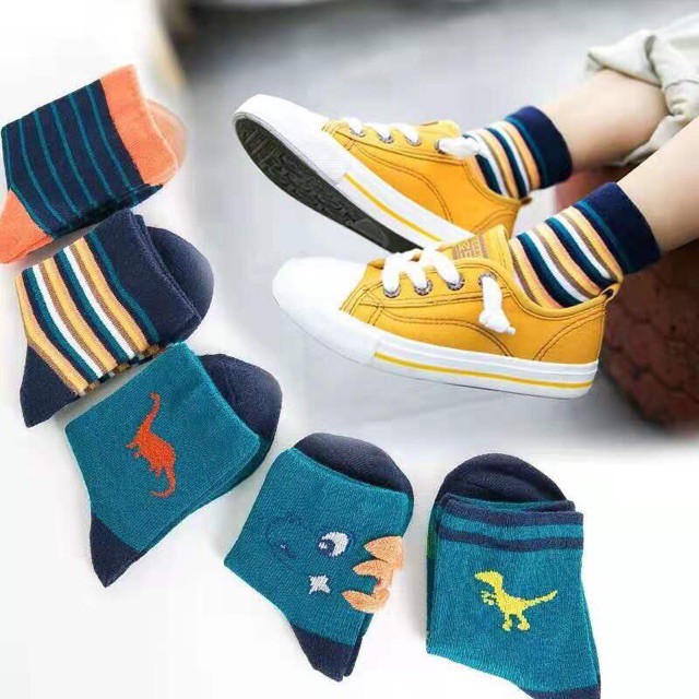 Set 5 đôi tất cổ cao cho bé hình khủng long size S M L