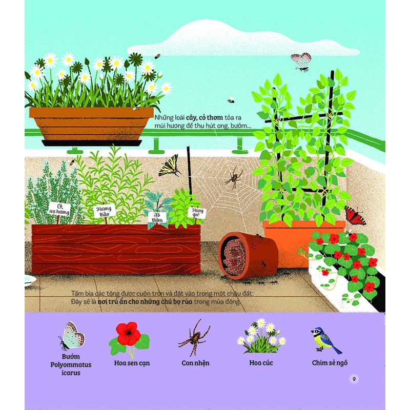 Sách - Khám phá đầu tiên của tớ về thiên nhiên - Dành cho bé từ 2 tuổi trở lên
