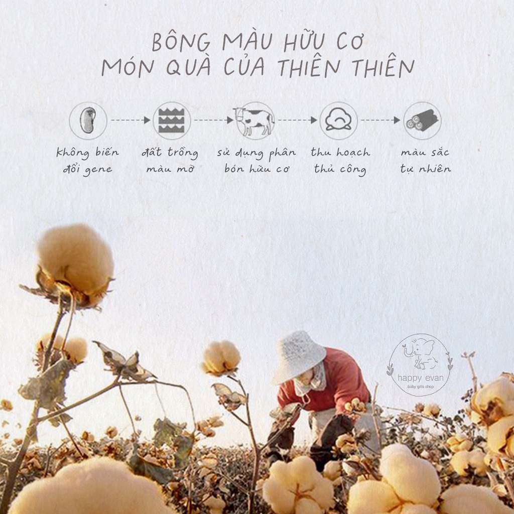 🅷.🄴🅅🄰🄽 Áo liền quần 2 dây, 100% sợi bông hữu cơ, màu sợi bông tự nhiên không tẩy nhuộm hoá chất.