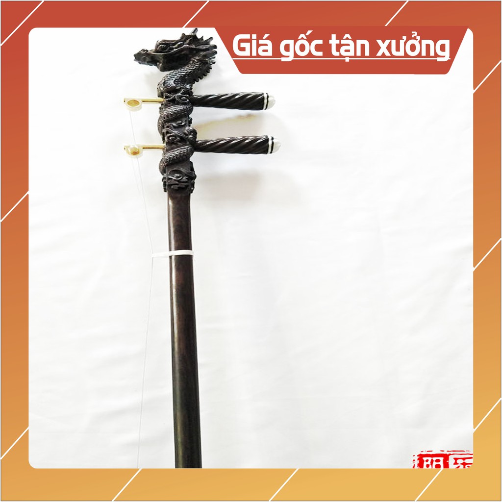 ĐÀN NHỊ ĐẦU RỒNG
