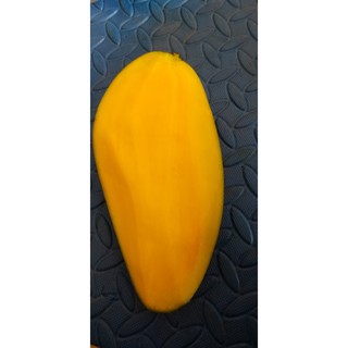 Cây Xoài Đài Loan