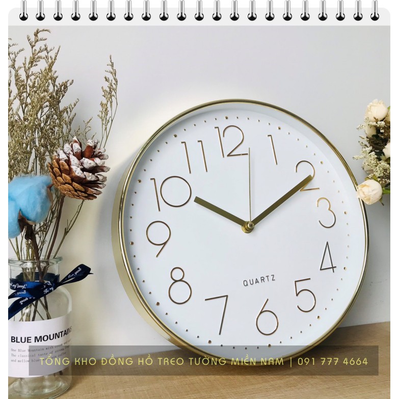 [25 CM] [Freeship 70K] Đồng hồ treo tường Quartz kim trôi cao cấp - Bảo Hành 12 Tháng