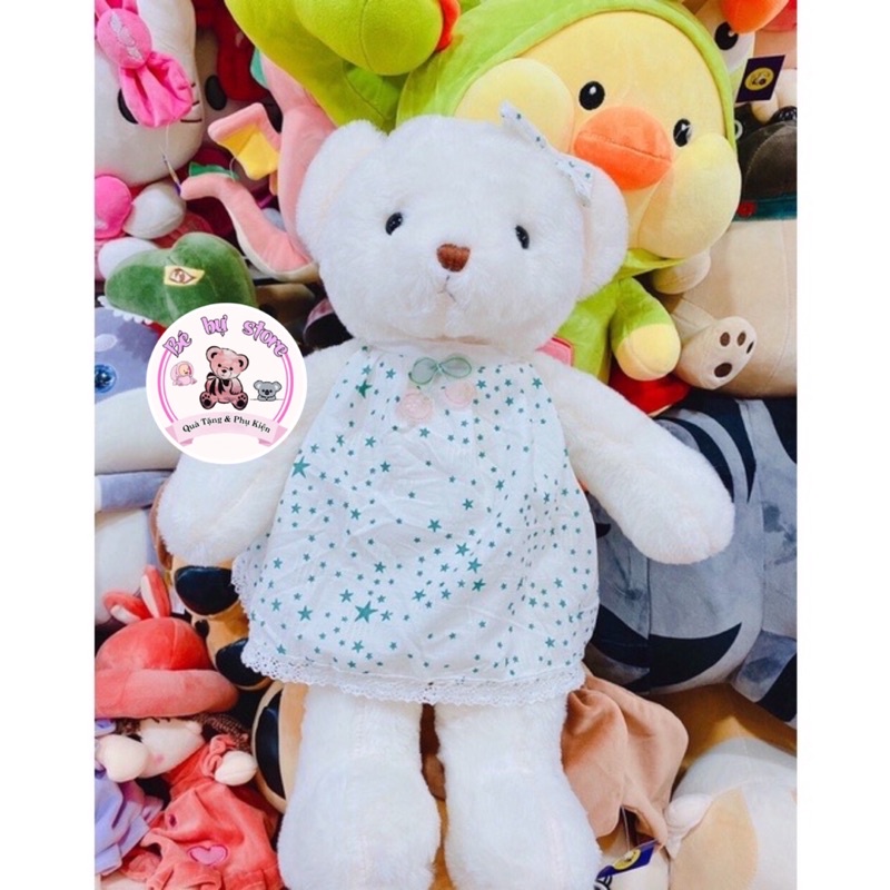 Gấu bông teddy - Teddy đeo nơ mặc áo sao - Bé Bự Store