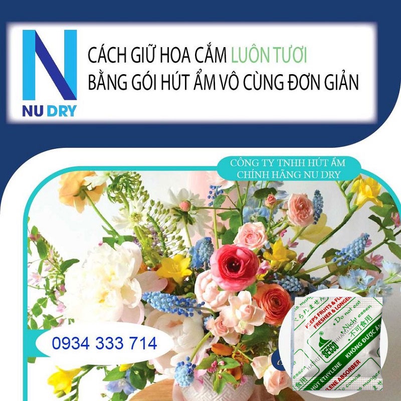 Gói hút khí bảo quản trái cây rau quả thực phẩm túi hút ẩm ethylene 100/200/500 Gr  - NU DRY