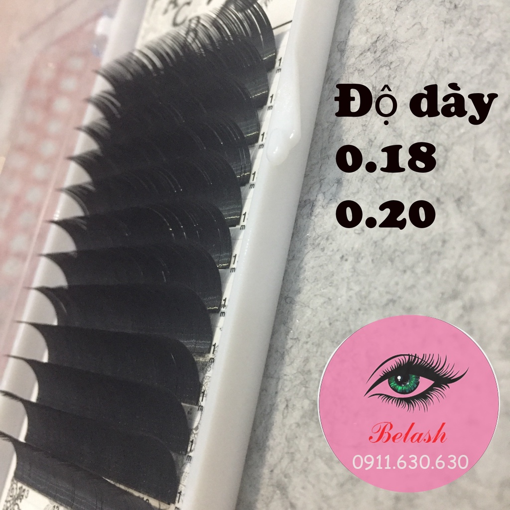 Mi khay độ cong C D dày 0.18 0.20 BeLash