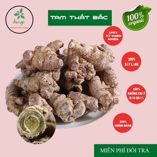 Tam thất bắc khô cam kết nguyên chất