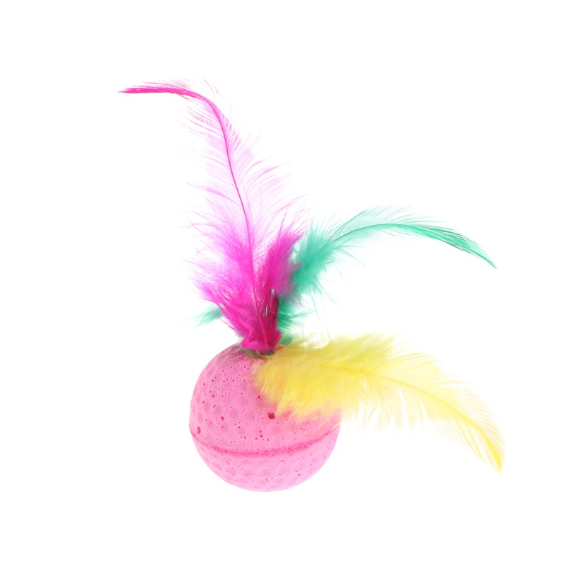 Set 10 Lông Vũ Đồ Chơi Cho Mèo