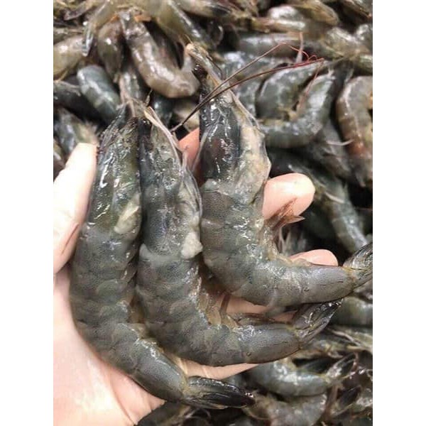 Tôm lột - tôm nõn  tươi ngon khay 500gr