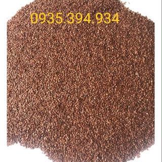 1 Kg hạt Thiên Liên Tử