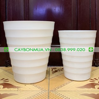 Chậu nhựa cao cấp - Chậu nhựa trắng với viền xoắn ốc - Chậu chuyên trồng cây Bạch Thiên Hương