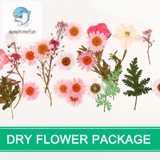 Hoa Ép Khô Dùng Để Trang Trí Diy