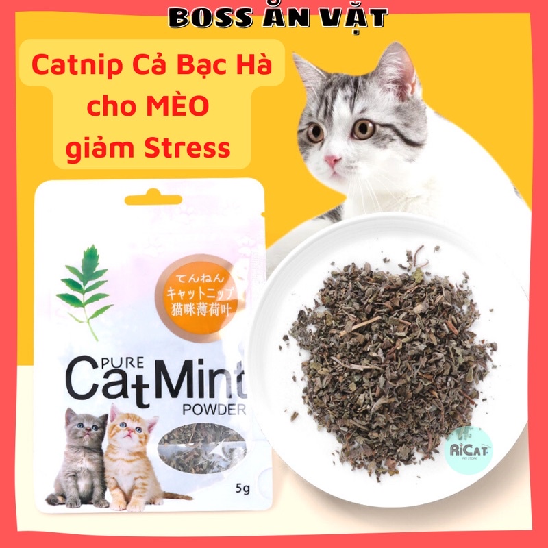 Cỏ Catnip Cỏ Bạc Hà cho Mèo CAT MINT giúp thư giãn, giảm Stress - Gói 5g