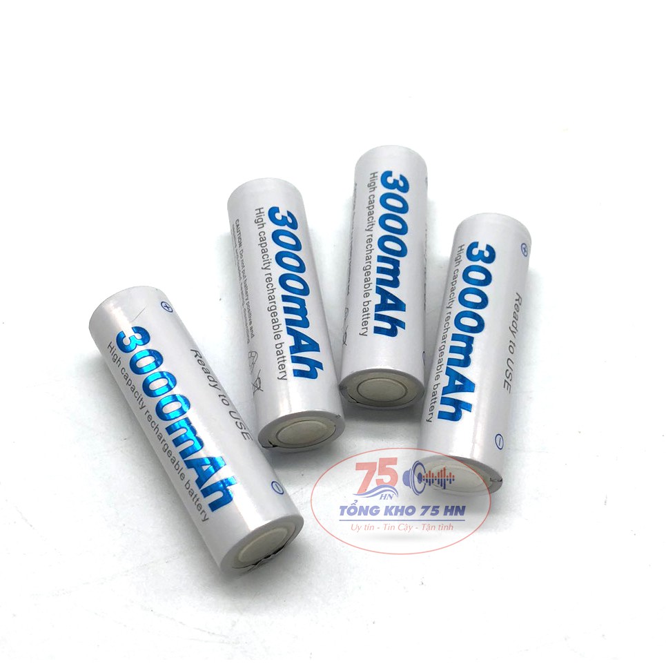 Combo 04 Pin và sạc AA BESTON 3000mAh - Pin sạc BESTON Pin mic không dây, camera, pin điều khiển