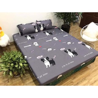 BỘ GA GỐI POLY COTTON 3 MÓN