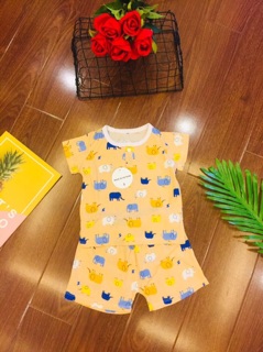 Combo 4 bộ tole lanh bé trai