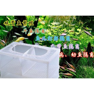 Box đựng tép, cá dạng lưới hiệu BOYU