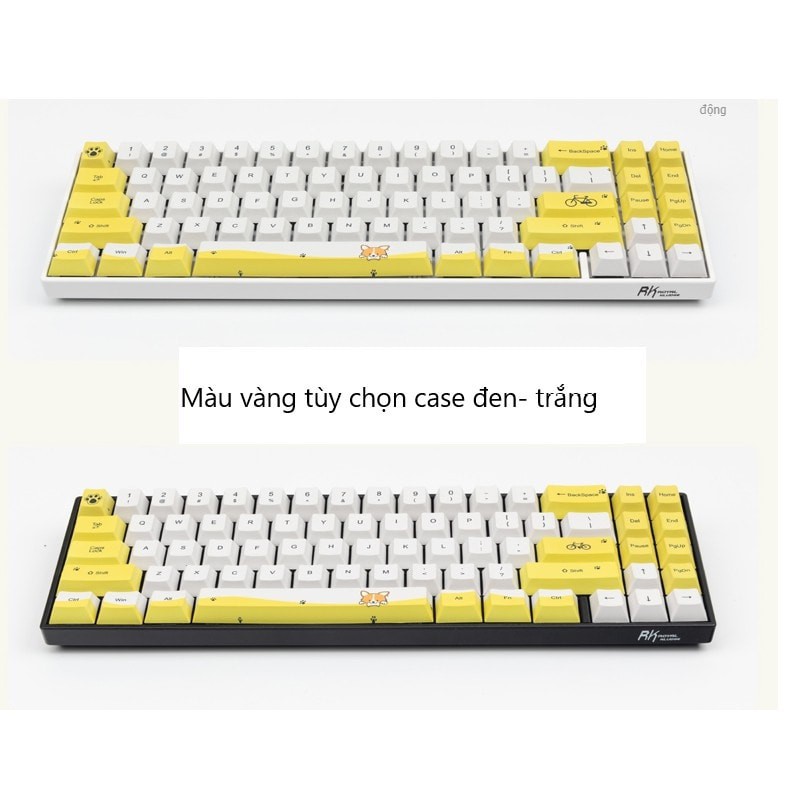 (CÓ SẴN) Bộ Set Keycap PBT Doubleshot Cao Cấp Dùng Cho Bàn Phím RK71 hoặc các bàn phím cỡ 60% 70%