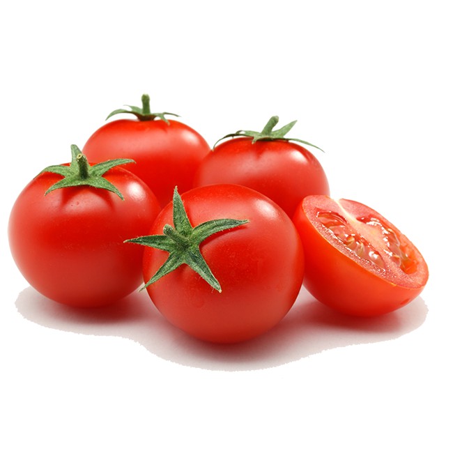 HẠT GIỐNG CÀ CHUA TRÁI TRÒN F1 T15 - GÓI 0,5 GRAM