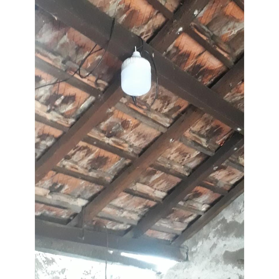 👉ĐÈN Bulb năng lượng mặt trời Công suất 50W- chính hãng MAYOR WOLF