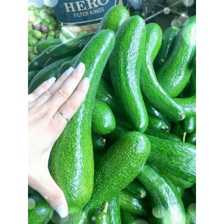 BƠ 034 VƯỜN LÂM ĐỒNG(SIZE 2QUẢ/1KG)