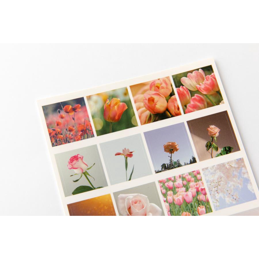 Set 2 Tấm Sticker ARTBOX Hàn Quốc Hình Vẽ Hoa Màu Hồng