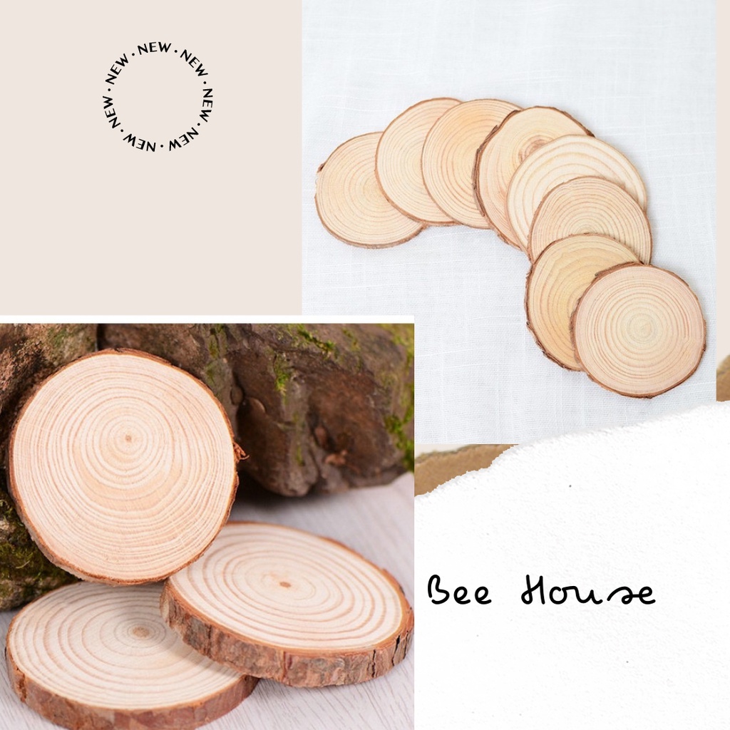 Miếng Gỗ Vân Tròn Trang Trí Chụp Ảnh Sản Phẩm, Decor Nhà Cửa - Beeshouse (KT 8-10cm)