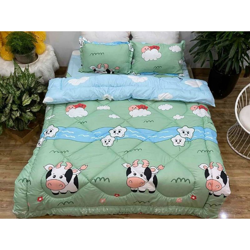 Trọn bộ 5 món ga gối chăn phao poly cotton có ruột bông dày dặn loại 1